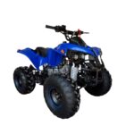 Quadriciclo 125cc com Ré Azul - IWATVR125 - 1