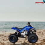 Quadriciclo 125cc com Ré Azul - IWATVR125 - 10