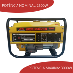 Gerador De Energia A Gasolina 3000W IWGEG - 10