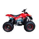 Quadriciclo 125cc com Ré Vermelho - IWATVR125 - 3