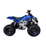 Quadriciclo 125cc com Ré Azul - IWATVR125 - 3