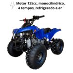 Quadriciclo 125cc com Ré Azul - IWATVR125 - 4