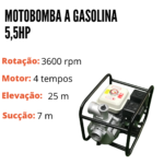 Motobomba A Gasolina 5,5HP IWMBG4T55 - 6