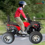 Quadriciclo 200CC IWATV200VM - 10