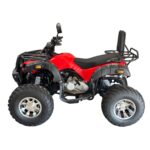 Quadriciclo 200CC IWATV200VM - 3