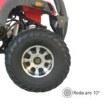 Quadriciclo 200CC IWATV200VM - 6