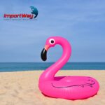 Boia Inflável Flamingo 90cm IWBIF90 - 8