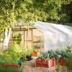 Lona Plástica De Polietileno 70g/m² 2x2 Transparente IWLP22TR - 7