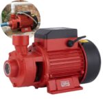 Bomba De Água Periférica 1CV 220V IWBAP1CV - 1