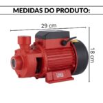 Bomba De Água Periférica 1CV 220V IWBAP1CV - 3