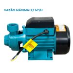 Bomba De Água Periférica 0,5CV 220V IWBAP05CV - 5