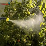 Pulverizador Elétrico 8 litros - IWFE010 - 8