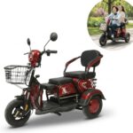 Triciclo Elétrico 48V 1000W Bateria Removível, Alarme E Chave Antifurto - IWMV007 - 1