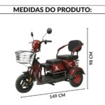Triciclo Elétrico 48V 1000W Bateria Removível, Alarme E Chave Antifurto - IWMV007 - 2
