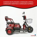 Triciclo Elétrico 48V 1000W Bateria Removível, Alarme E Chave Antifurto - IWMV007 - 4