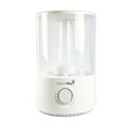 Umidificador De Ar Ambiente 3l Elétrico 127/220v Com Névoa - IWELE065 - 2