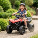 Mini Carro Elétrico Infantil 6v Utv Vermelho Som E Luzes - BW317VM - 6