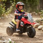 Mini Moto Elétrica Infantil 6v Triciclo Vermelho Com Som - BW530VM - 6