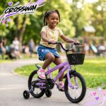 Bicicleta Infantil Aro 14 Com Rodinha Cesta Lilás - BW503RX - 10
