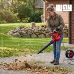 Soprador De Folhas E Resíduos Elétrico Para Jardim 220v - IWFE013 - 9